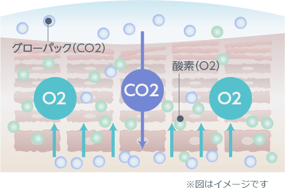 グローパックの働き